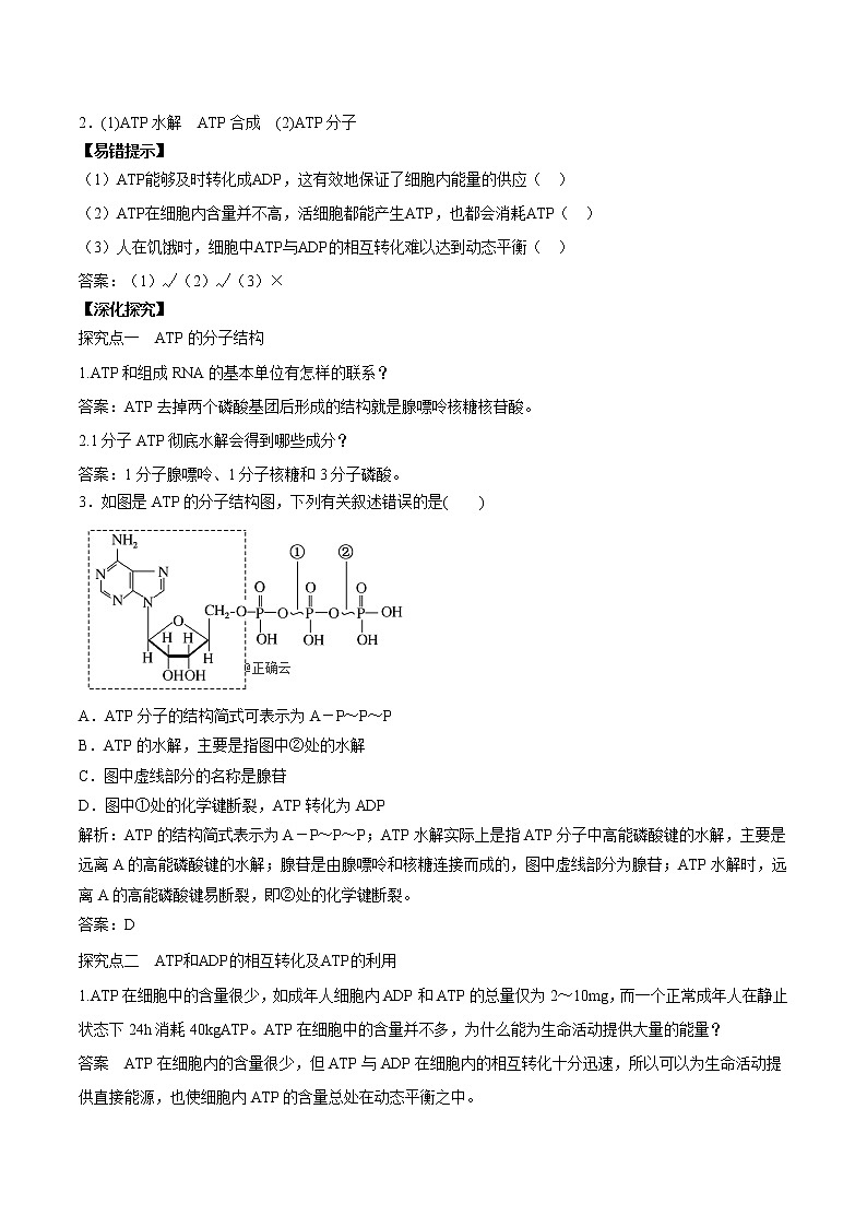 第2节细胞的能量“货币”ATP学案03