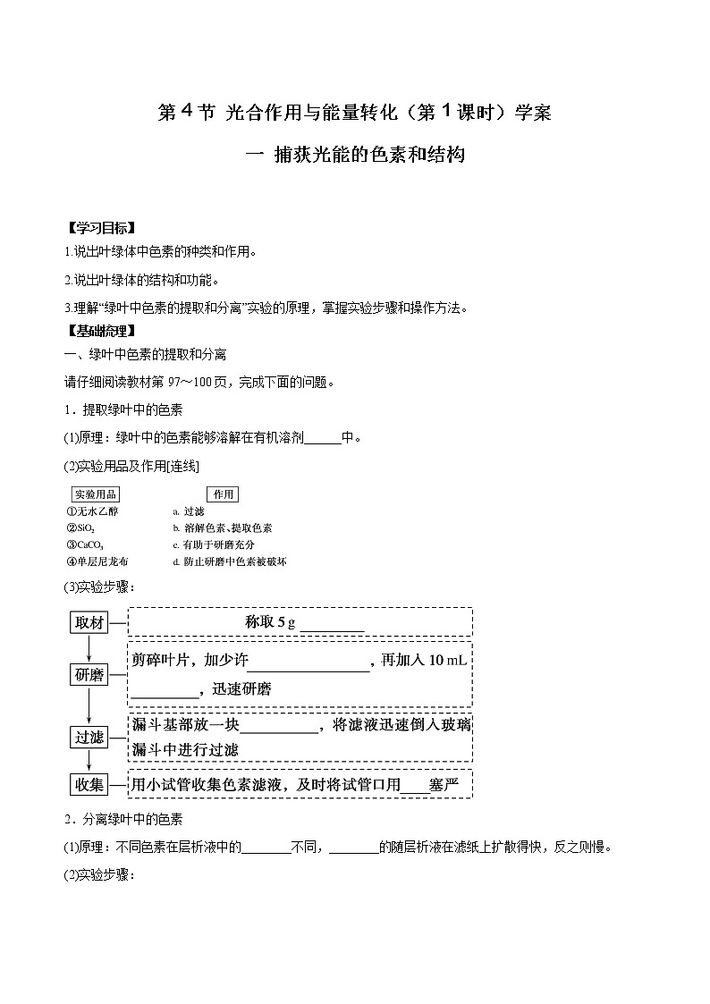 第4节 光合作用与能量转化（第1课时）学案01