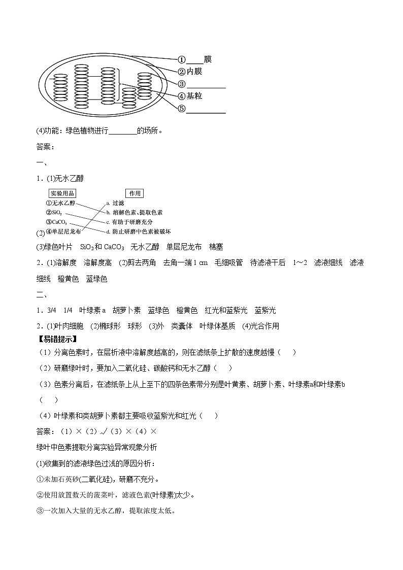 第4节 光合作用与能量转化（第1课时）学案03