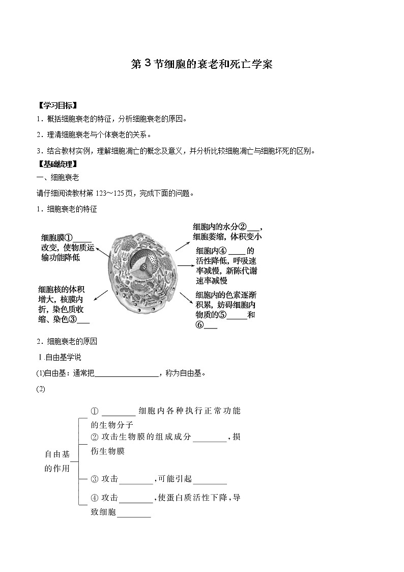 第3节细胞的衰老和死亡学案01