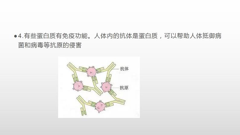 2021-2022学年高一上学期生物人教版（2019）必修一2.4蛋白质是生命活动的主要承担者课件第7页