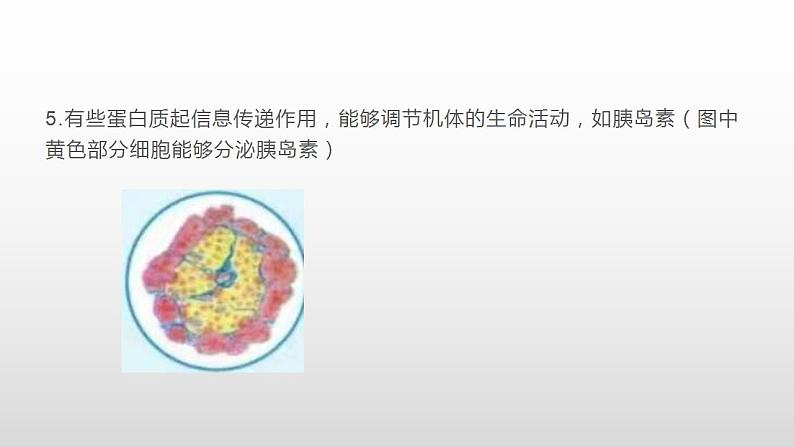 2021-2022学年高一上学期生物人教版（2019）必修一2.4蛋白质是生命活动的主要承担者课件第8页