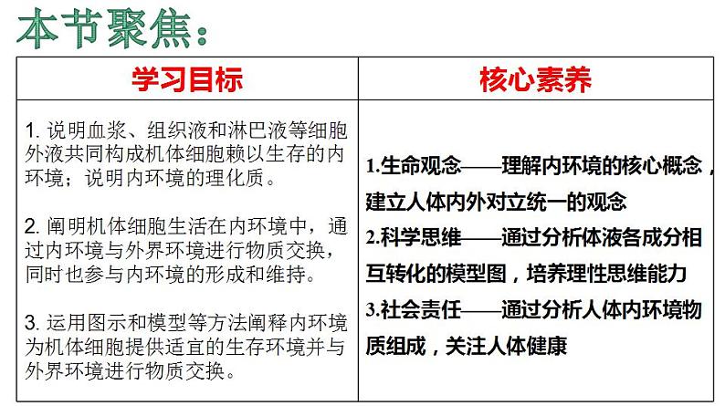 2021-2022学年高二上学期生物人教版（2019）选择性必修一1.1.2细胞生活的环境课件02