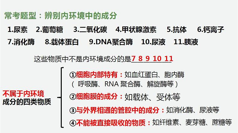 2021-2022学年高二上学期生物人教版（2019）选择性必修一1.1.2细胞生活的环境课件04