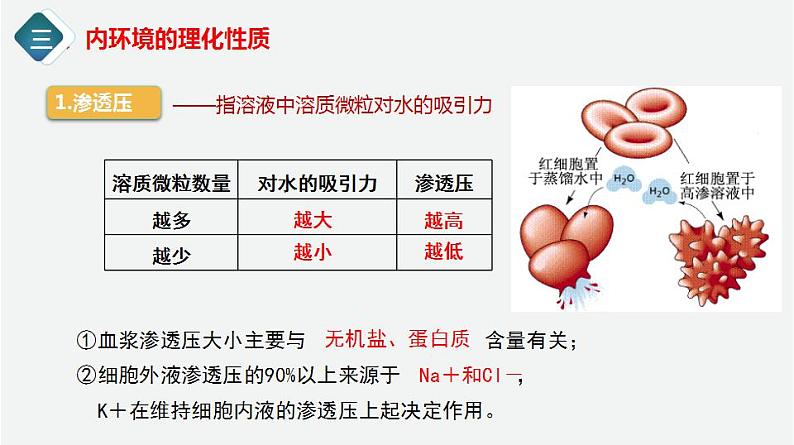 2021-2022学年高二上学期生物人教版（2019）选择性必修一1.1.2细胞生活的环境课件07