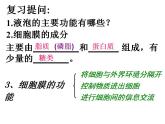 高中生物必修一 《第1节 被动运输》集体备课课件