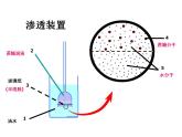 高中生物必修一 《第1节 被动运输》集体备课课件