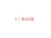 高中生物必修一 《第1节 被动运输》优秀教学课件