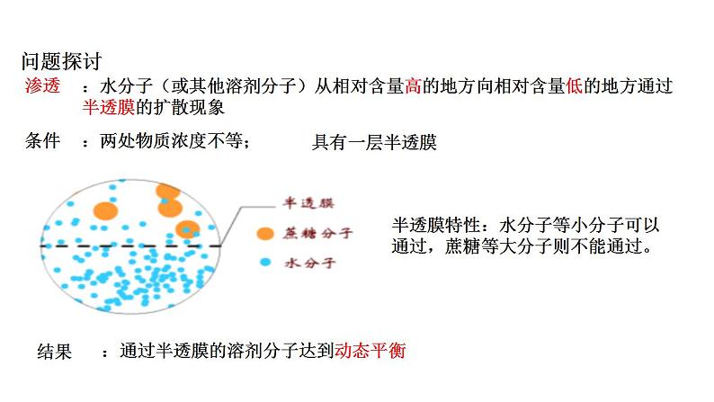 高中生物必修一 《第1节 被动运输》优秀教学课件第4页