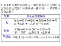 人教版 (2019)必修1《分子与细胞》第2节 细胞的多样性和统一性图片ppt课件