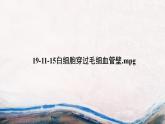 高中生物必修一 《第1节 细胞膜的结构和功能》获奖说课课件