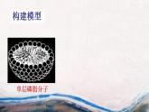 高中生物必修一 《第1节 细胞膜的结构和功能》获奖说课课件