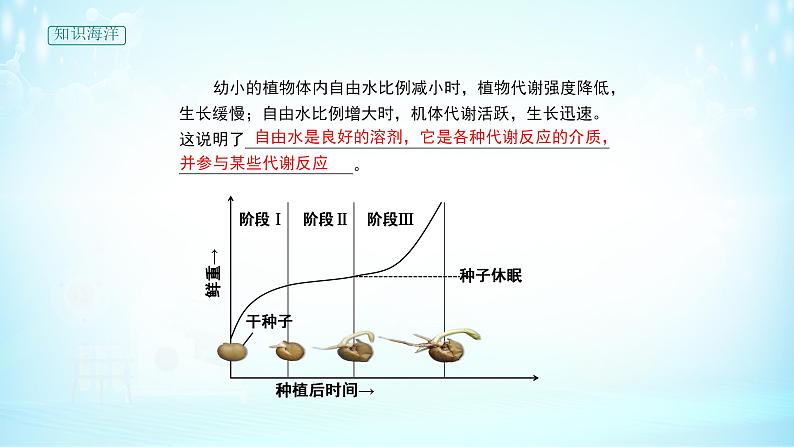 高中生物必修一 《第2节 细胞中的无机物》集体备课课件第8页