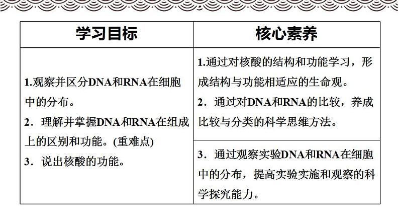 高中生物必修一 《第5节 核酸是遗传信息的携带者》集体备课课件02