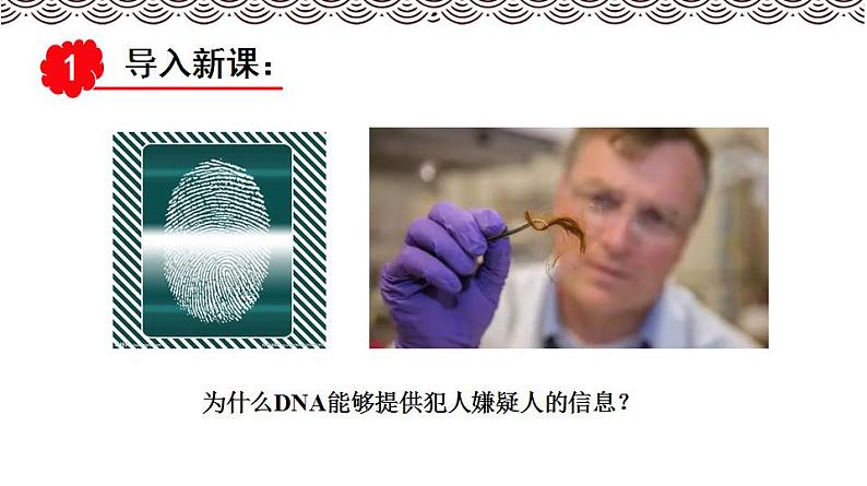 高中生物必修一 《第5节 核酸是遗传信息的携带者》集体备课课件03