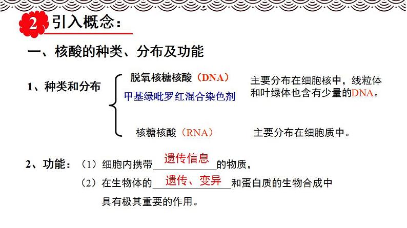 高中生物必修一 《第5节 核酸是遗传信息的携带者》集体备课课件04