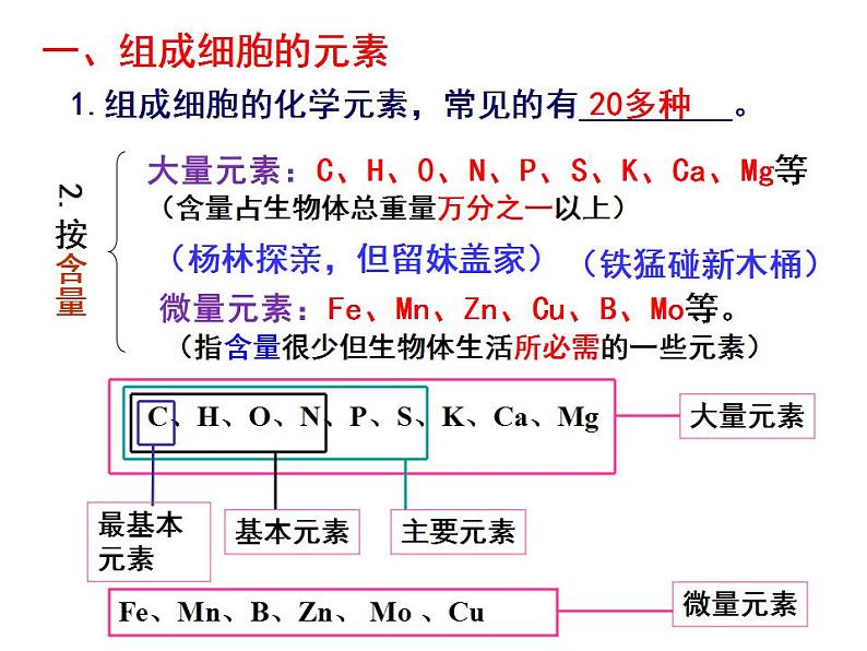高中生物必修一 《第1节 细胞中的元素和化合物》集体备课课件07
