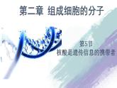 高中生物必修一 2.5 核酸是遗传信息的携带者 课件(共22张)