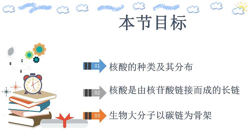 高中生物必修一 2.5 核酸是遗传信息的携带者 课件第2页