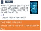 高中生物必修一 2.5 核酸是遗传信息的携带者 课件(共22张)