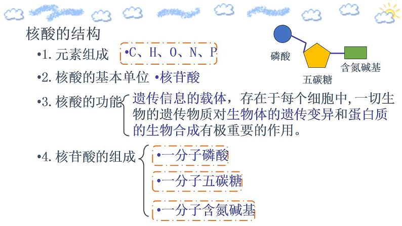 高中生物必修一 2.5 核酸是遗传信息的携带者 课件第7页