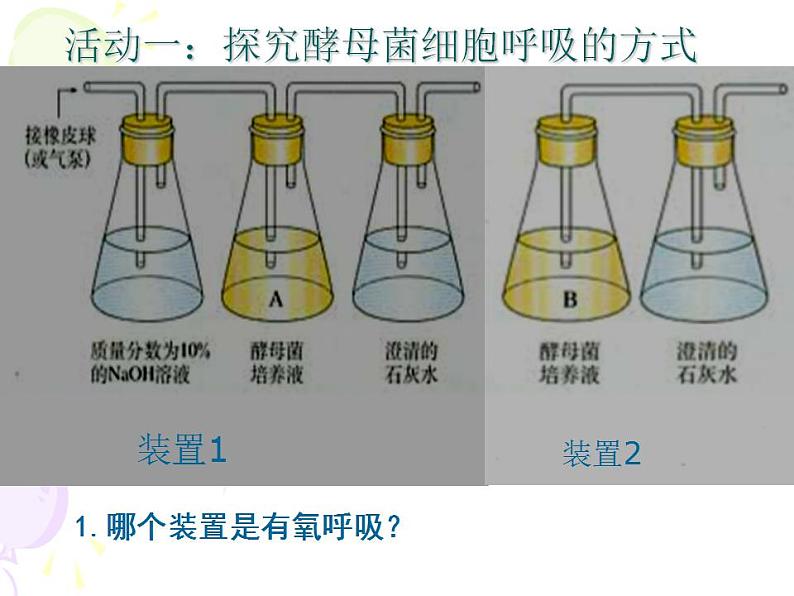 高中生物必修一 《第3节 细胞呼吸的原理和应用》获奖说课课件04