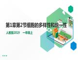 高中生物必修一 4.1被动运输课件