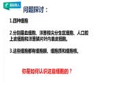 高中生物必修一 4.1被动运输课件