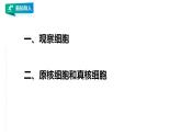 高中生物必修一 4.1被动运输课件