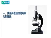 高中生物必修一 4.1被动运输课件