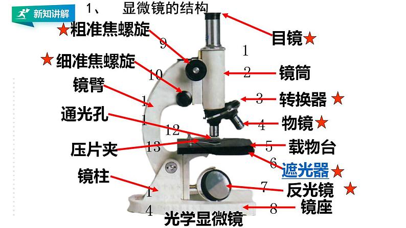 高中生物必修一 4.1被动运输课件第6页