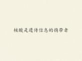 高中生物必修一 《第5节 核酸是遗传信息的携带者》名师优质课课件