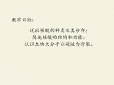 高中生物必修一 《第5节 核酸是遗传信息的携带者》名师优质课课件