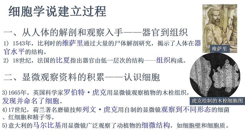 高中生物必修一 1.1细胞是生命活动的基本单位课件 2006