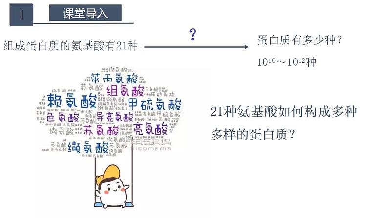 高中生物必修一 2.4.2 蛋白质是生命活动的主要承担者 课件）第3页