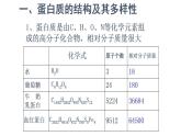 高中生物必修一 2.4.2 蛋白质是生命活动的主要承担者 课件）(共22张)