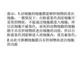 高中生物必修一 《第1节 细胞膜的结构和功能》集体备课课件