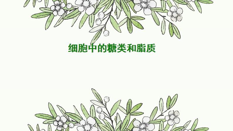 高中生物必修一 《第3节 细胞中的糖类和脂质》集体备课课件第1页