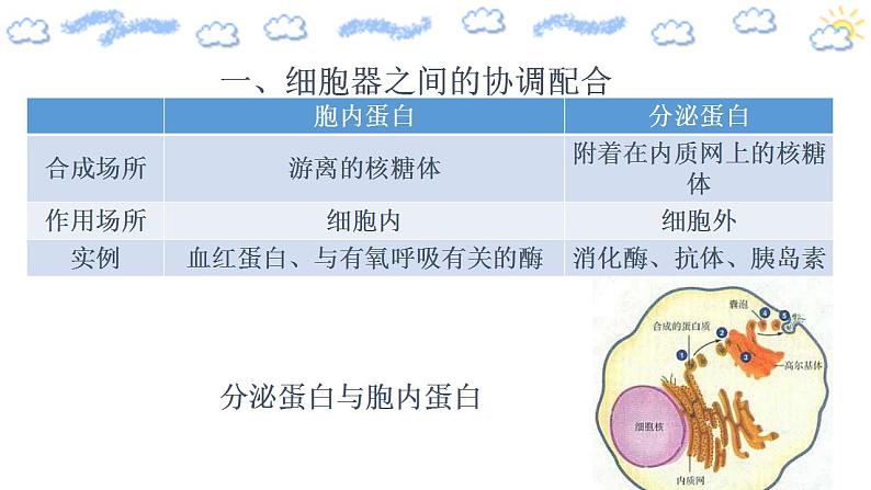 高中生物必修一 3.2.2 细胞器之间的分工合作 课件(共21张)第3页