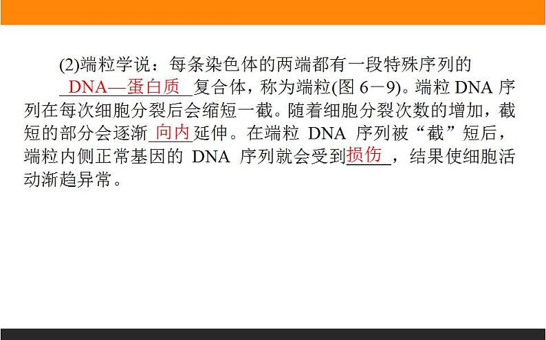 高中生物必修一 《第3节 细胞的衰老和死亡》多媒体精品课件第5页