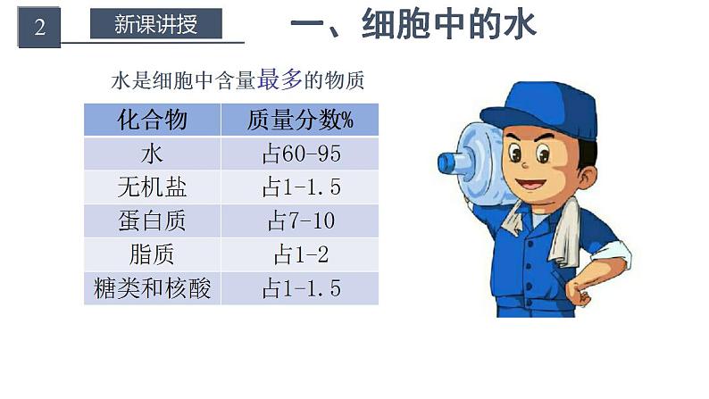 高中生物必修一 2.2 细胞中的无机物 课件 （思维导图）第4页