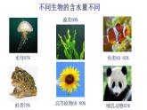 高中生物必修一 2.2 细胞中的无机物 课件 （思维导图）