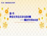 高中生物必修一 《一 酶的作用和本质》获奖说课课件