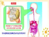 高中生物必修一 《一 酶的作用和本质》获奖说课课件