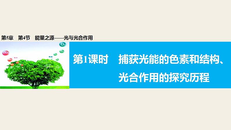 高中生物必修一 《二 光合作用的原理和应用》名师优质课课件第2页