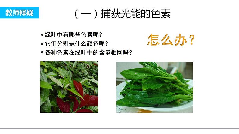 高中生物必修一 《二 光合作用的原理和应用》名师优质课课件第6页