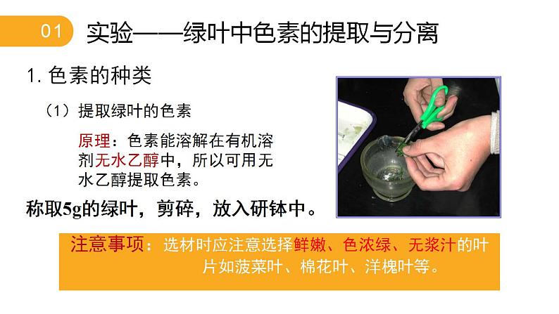 高中生物必修一 《二 光合作用的原理和应用》名师优质课课件第8页