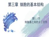 高中生物必修一 3.2.1 细胞器之间的分工合作 课件(共24张)