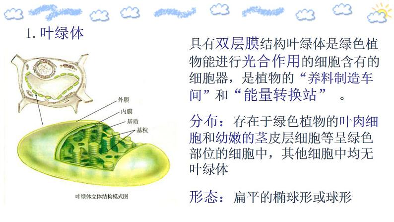 高中生物必修一 3.2.1 细胞器之间的分工合作 课件(共24张)第6页