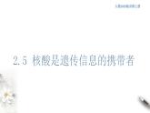高中生物必修一 2.5 核酸是遗传信息的携带者 课件(共16张)